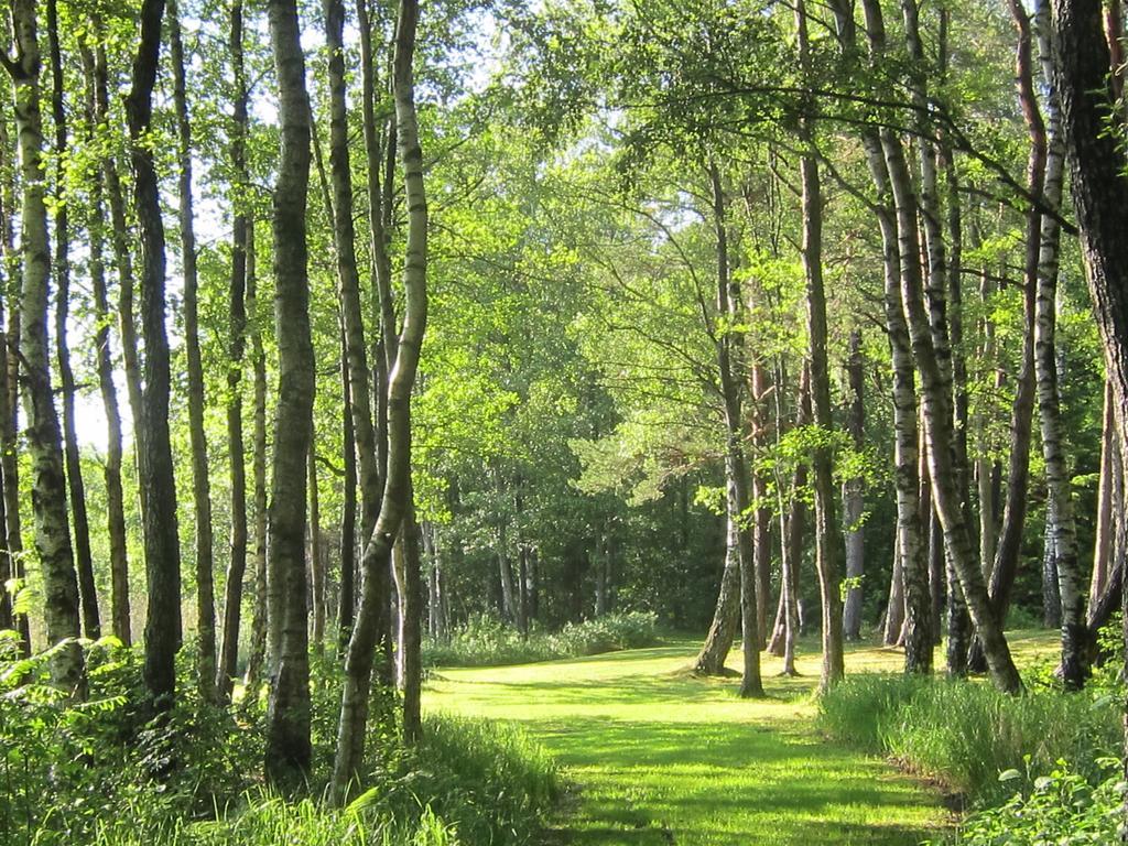 Sikhall Camping Sörbo المظهر الخارجي الصورة